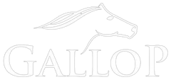 Gallop Watches