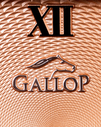 Dubai Millennium Gallop First Edition Salamon